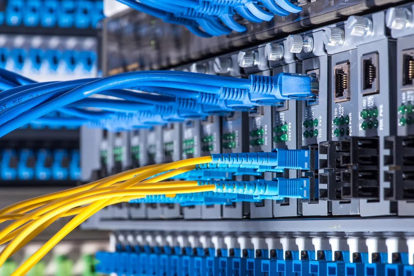 Ethernet cables plugged into a network switch